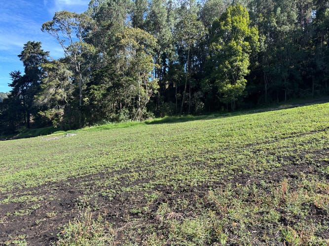 Lote en venta en El Tablazo, Rionegro, 1372 m² · foto 2 de 3