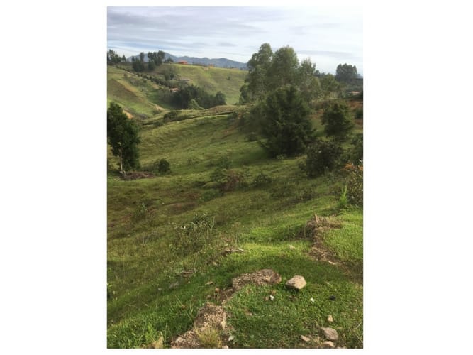 Lote en venta en La Mosca, Guarne, 40340 m² · foto 4 de 24