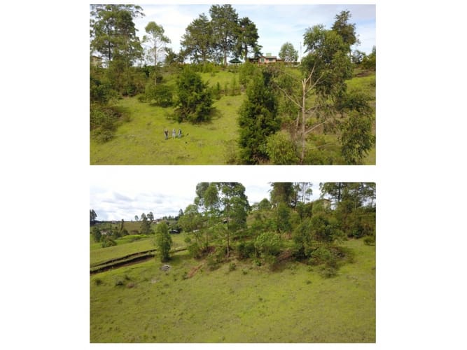 Lote en venta en La Mosca, Guarne, 40340 m² · foto 12 de 24