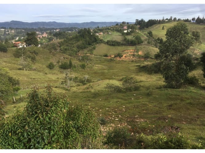 Lote en venta en La Mosca, Guarne, 40340 m² · foto 19 de 24