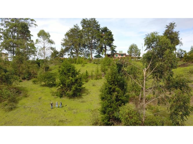 Lote en venta en La Mosca, Guarne, 40340 m² · foto 23 de 24
