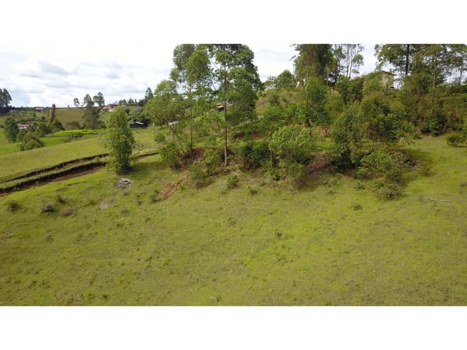 Lote en venta en La Mosca, Guarne, 40340 m² · foto 24 de 24