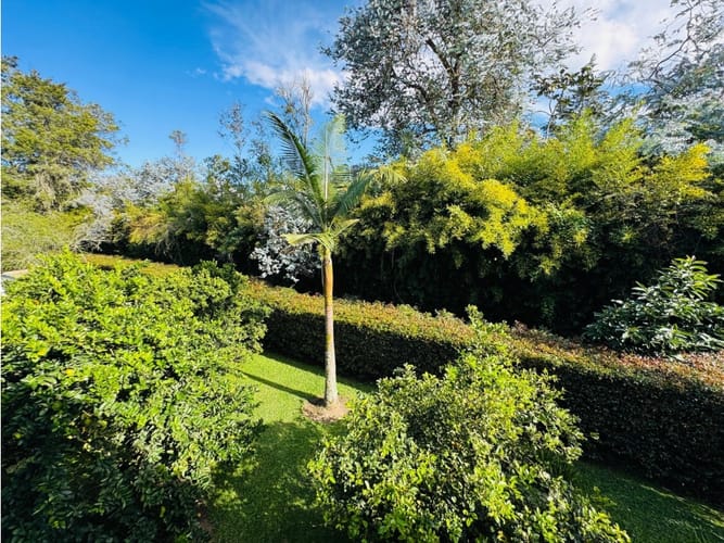 Casa de 6 alcobas en venta en Guayabito, Medellín, 900 m² · foto 6 de 24