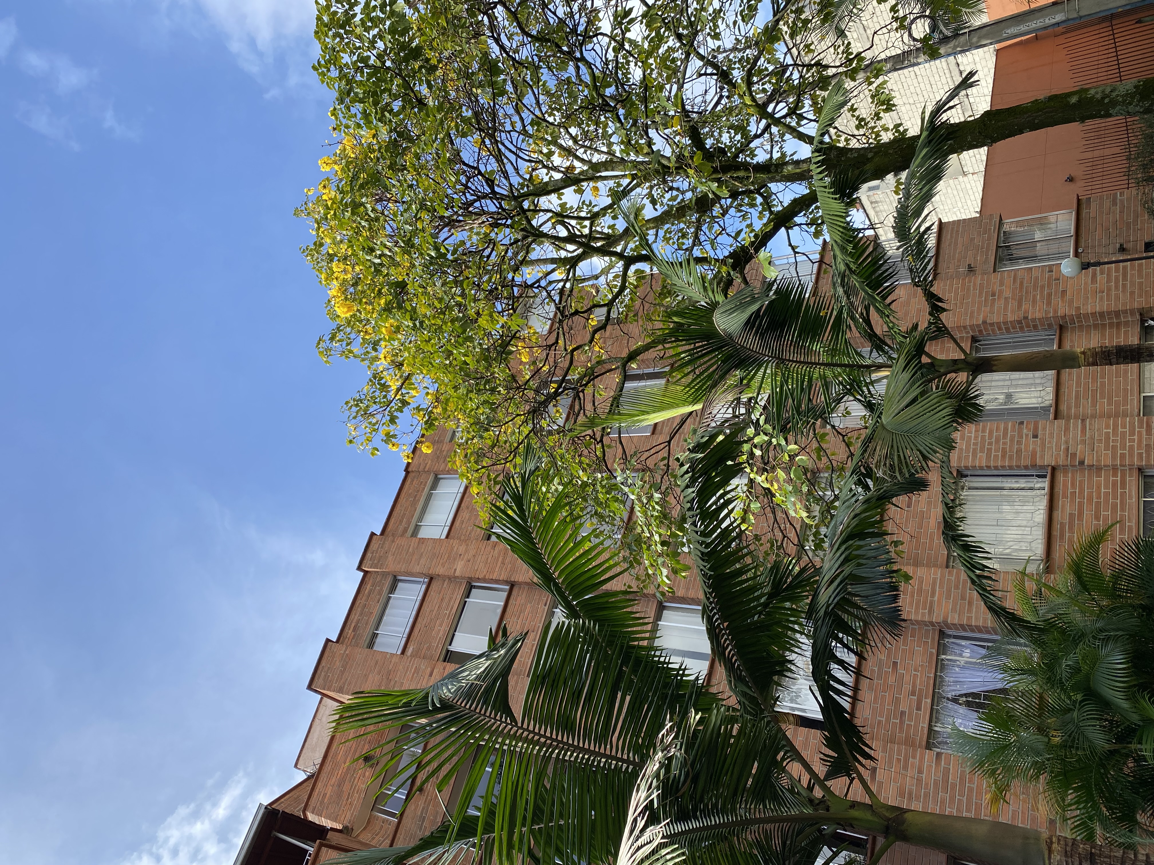 Apartamento en venta en Simon Bolivar, Medellín · foto 16 de 16