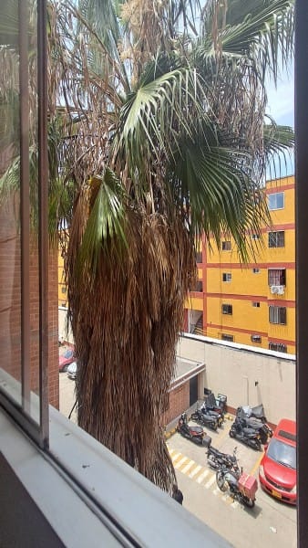 Apartamento en venta en Santa Monica Popular, Cali · foto 4 de 19