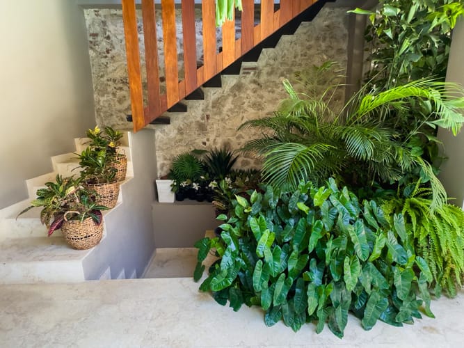 Casa de 4 alcobas en venta en San Diego, Cartagena, 495 m² · foto 3 de 24