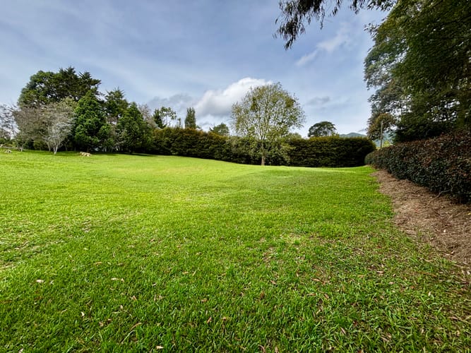 Lote en venta en Los Salados, El Retiro, 5000 m² · foto 3 de 6