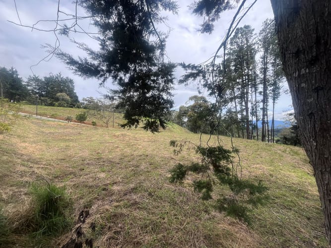 Lote en venta en La Convencion, Rionegro, 2654 m² · foto 9 de 17