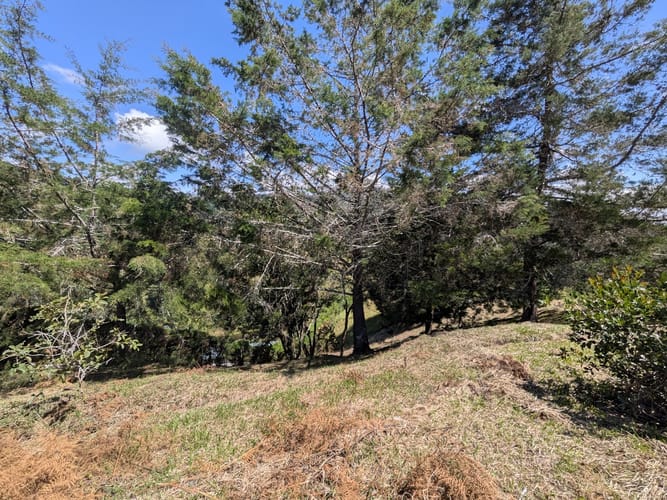Lote en venta en El Tambo, La Ceja, 10780 m² · foto 4 de 16