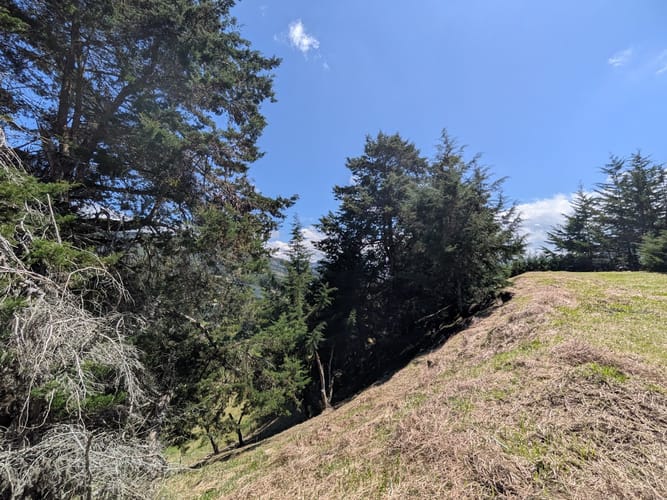 Lote en venta en El Tambo, La Ceja, 10780 m² · foto 6 de 16
