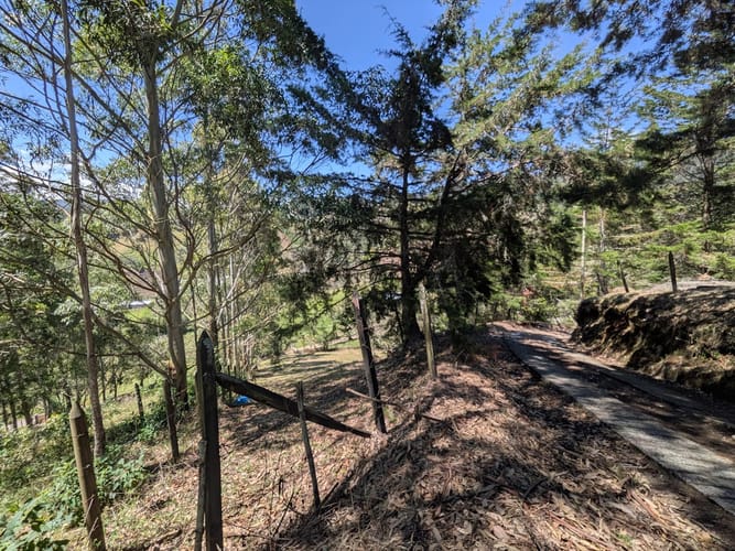 Lote en venta en El Tambo, La Ceja, 10780 m² · foto 13 de 16