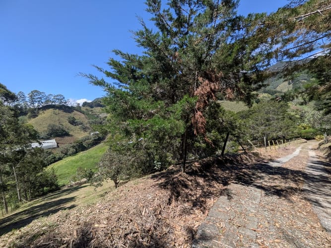 Lote en venta en El Tambo, La Ceja, 10780 m² · foto 15 de 16