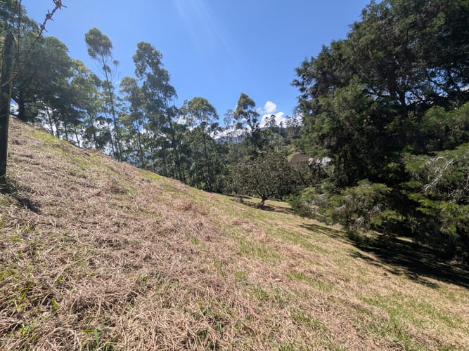 Lote en venta en El Tambo, La Ceja, 10780 m² · foto 16 de 16
