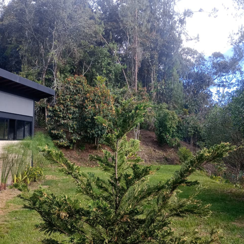 Casa de 3 alcobas en venta en Pantanillo, El Retiro, 334 m² · foto 17 de 18