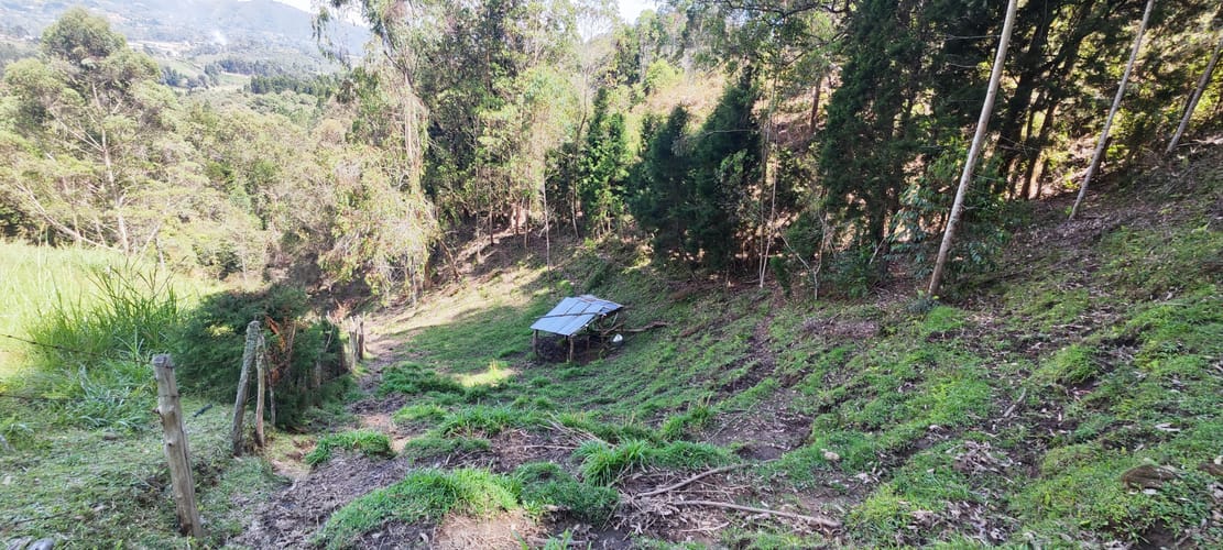 Lote en venta en Bellavista, Guarne, 2864 m² · foto 3 de 6