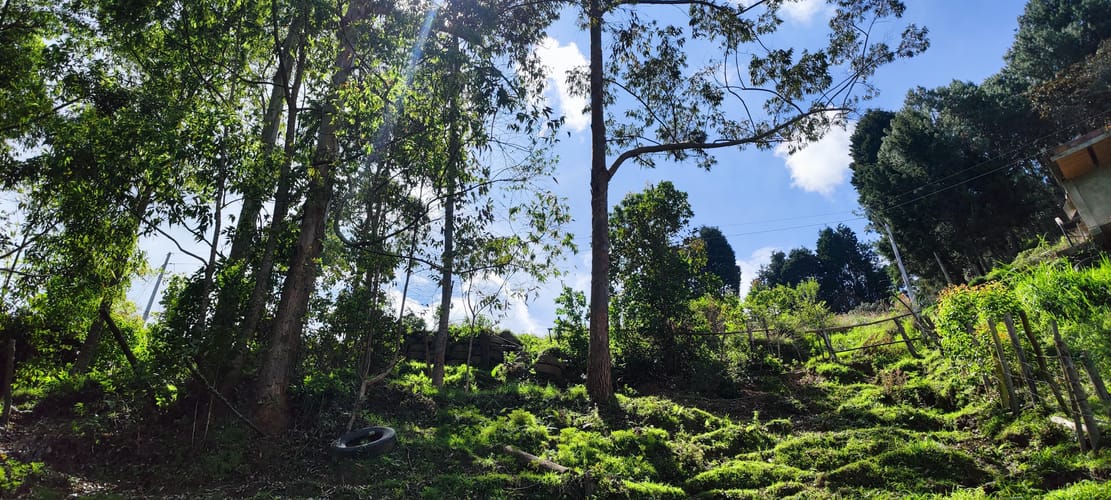Lote en venta en Bellavista, Guarne, 2864 m² · foto 5 de 6