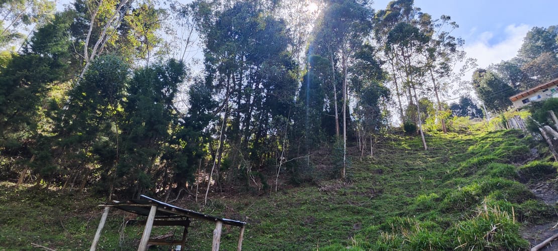 Lote en venta en Bellavista, Guarne, 2864 m² · foto 6 de 6