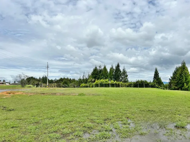 Local en venta en Playa Rica-Rancheria, Rionegro, 1624 m² · foto 4 de 10