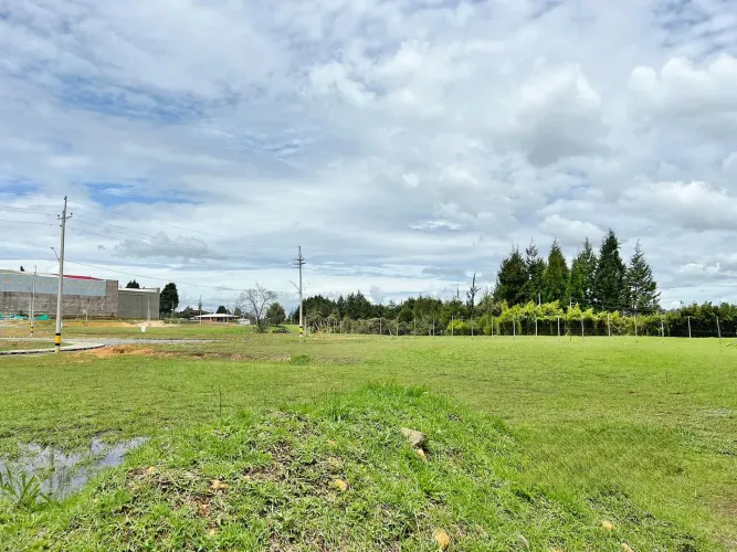 Local en venta en Playa Rica-Rancheria, Rionegro, 1624 m² · foto 6 de 10