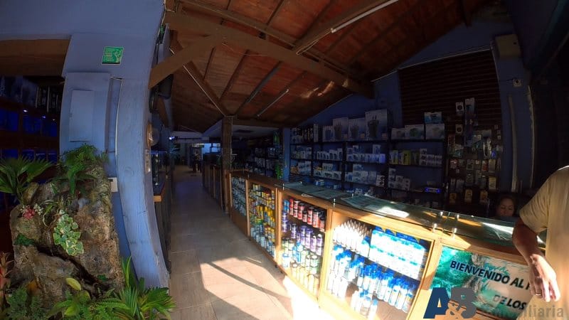 Local en arriendo en Manila, Medellín, 520 m² · foto 3 de 14