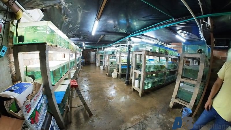 Local en arriendo en Manila, Medellín, 520 m² · foto 9 de 14