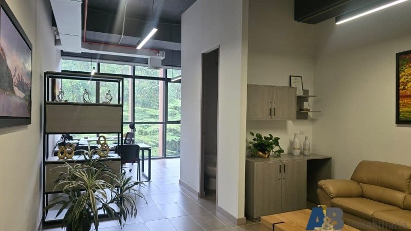 Oficina en arriendo en Altos Del Poblado, Medellín, 242 m² · foto 6 de 24