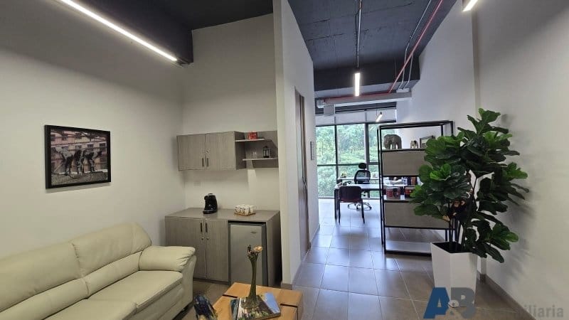 Oficina en arriendo en Altos Del Poblado, Medellín, 242 m² · foto 13 de 24