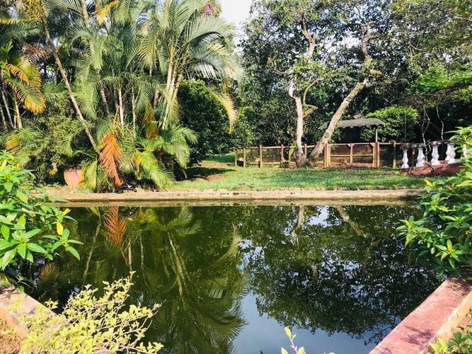 Casa de 6 alcobas en venta en Pance, Cali, 560 m² · foto 7 de 24