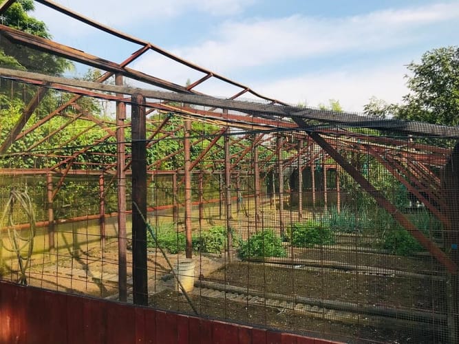 Casa de 6 alcobas en venta en Pance, Cali, 560 m² · foto 14 de 24