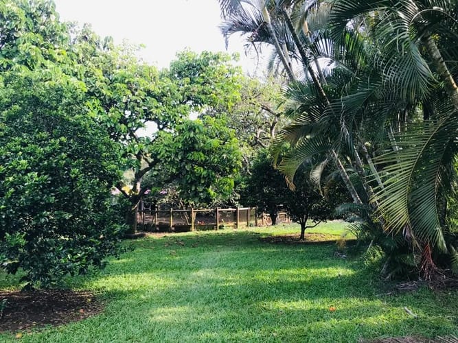 Casa de 6 alcobas en venta en Pance, Cali, 560 m² · foto 15 de 24