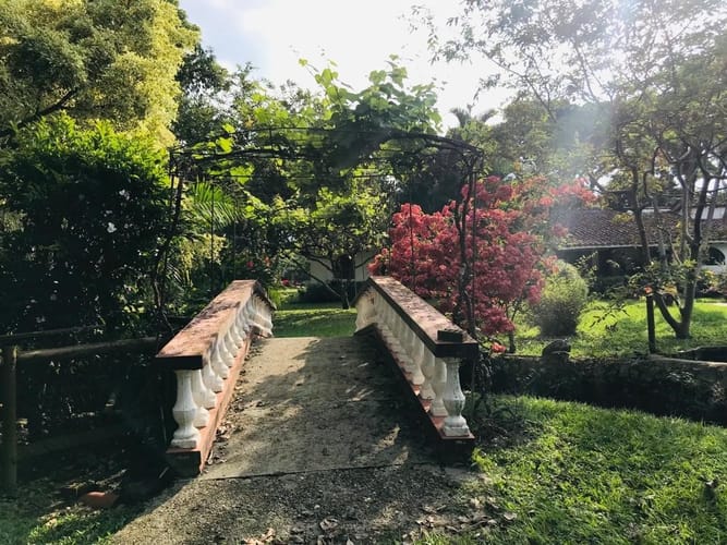 Casa de 6 alcobas en venta en Pance, Cali, 560 m² · foto 13 de 24
