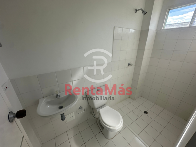 Apartaestudio en arriendo en La Cordialidad, Los Patios, 38 m² · foto 7 de 8