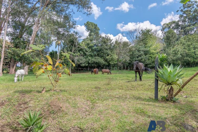 Casa de 6 alcobas en venta en Loma Del Escobero, Envigado · foto 17 de 21