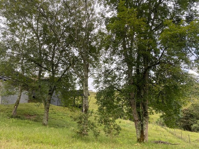 Finca en arriendo en Santa Ana, Rionegro, 350 m² · foto 10 de 13