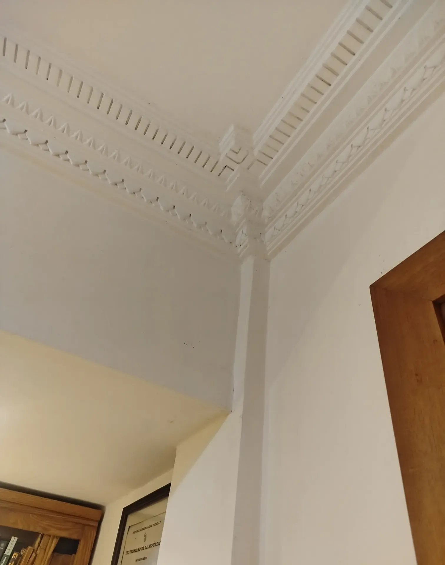 Apartamento en Alquiler · Foto 12