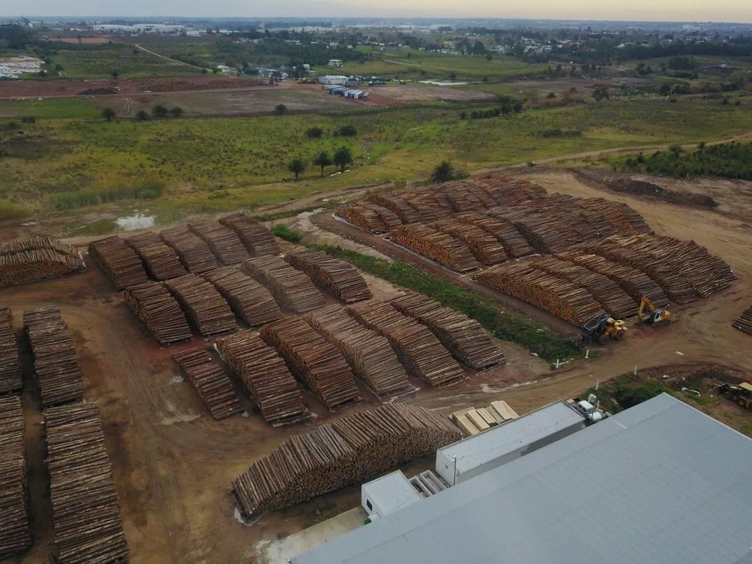 Alquiler centro logístico en Pajas blancas · Foto 2
