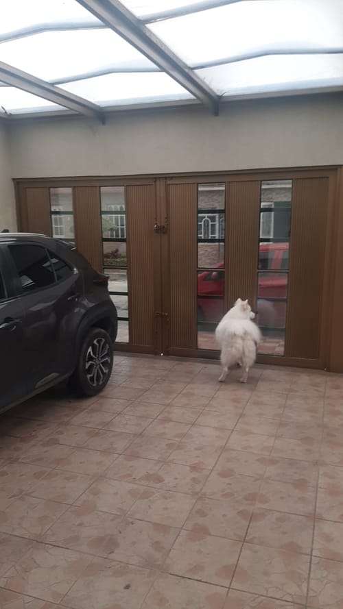 Casa en venta en Castilla, Bogotá · foto 4 de 24