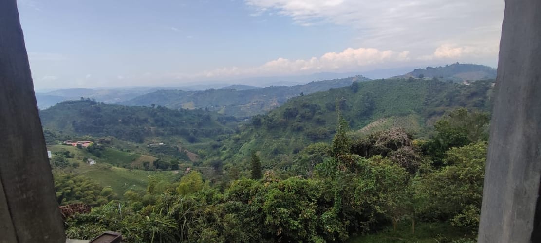 Finca en venta en La Cabaña, Manizales, 70000 m² · foto 2 de 24