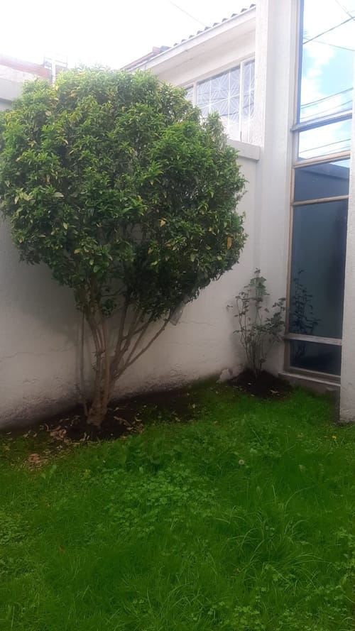 Casa en venta en Castilla, Bogotá · foto 14 de 24