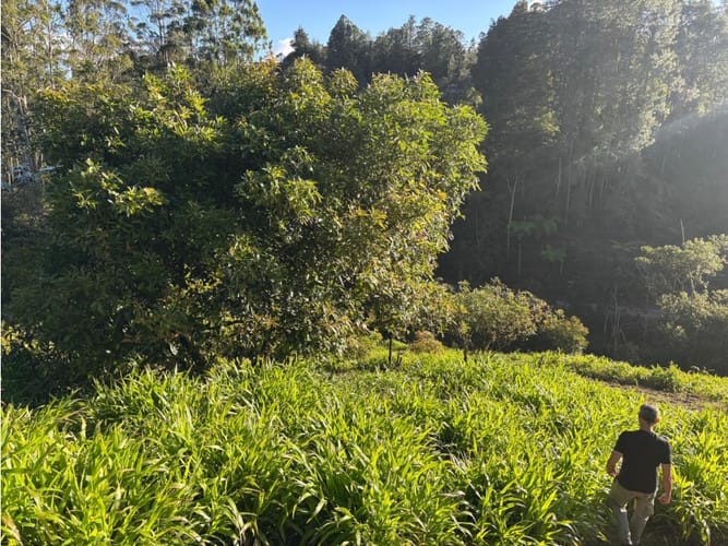 Lote en venta en El Higueron, Rionegro, 5873 m² · foto 2 de 7