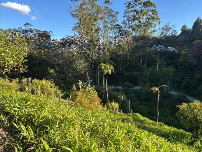 Lote en venta en El Higueron, Rionegro, 5873 m² · foto 3 de 7