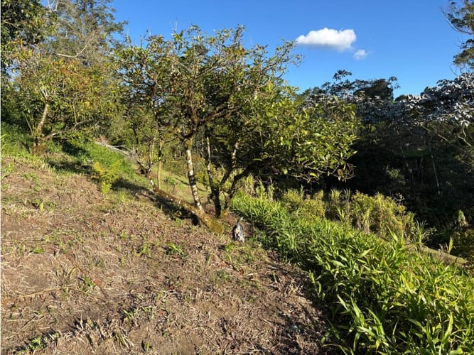 Lote en venta en El Higueron, Rionegro, 5873 m² · foto 4 de 7