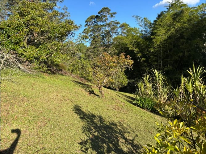 Lote en venta en El Higueron, Rionegro, 5873 m² · foto 5 de 7