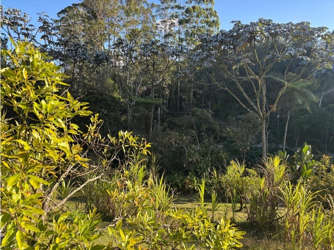 Lote en venta en El Higueron, Rionegro, 5873 m² · foto 6 de 7