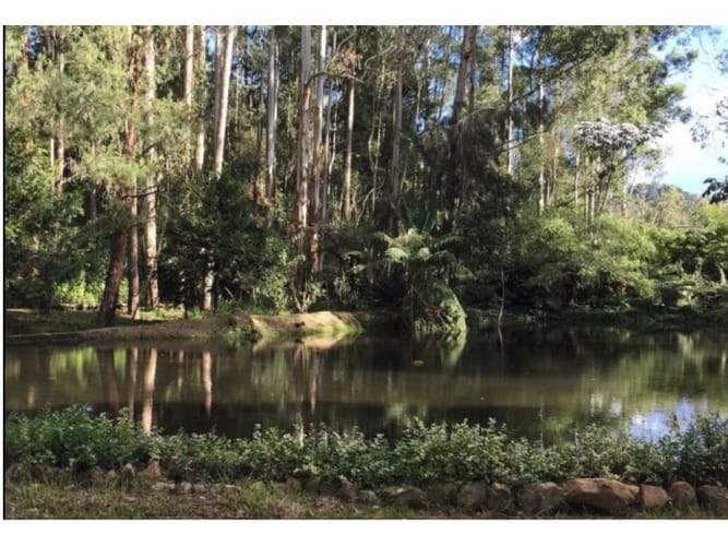 Lote en venta en El Higueron, Rionegro, 5873 m² · foto 7 de 7