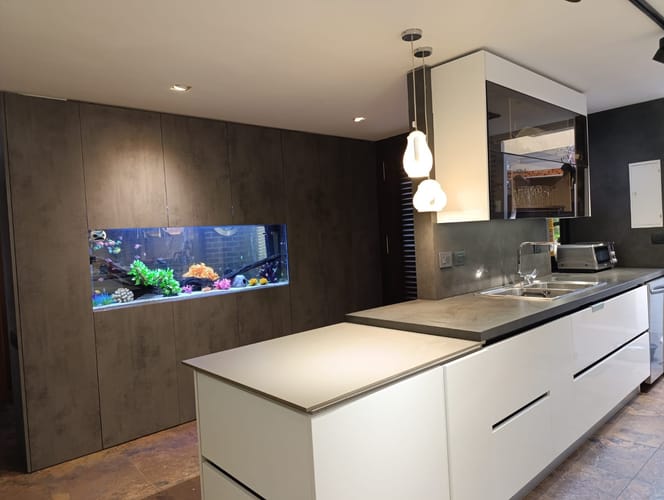 Casa de 4 alcobas en venta en Sotomayor, Bucaramanga, 500 m² · foto 17 de 21