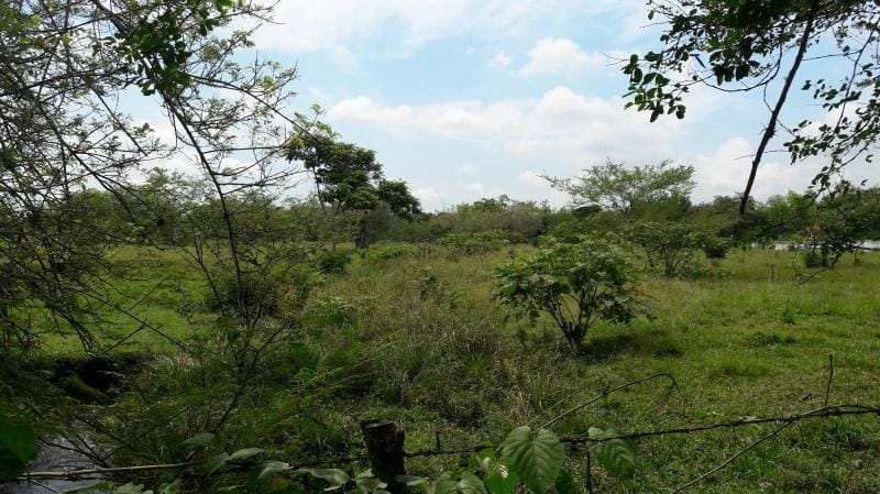 Lote en venta en Cañasgordas, Cali, 10000 m² · foto 5 de 16