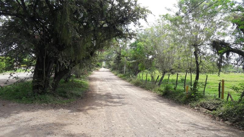 Lote en venta en Cañasgordas, Cali, 10000 m² · foto 6 de 16