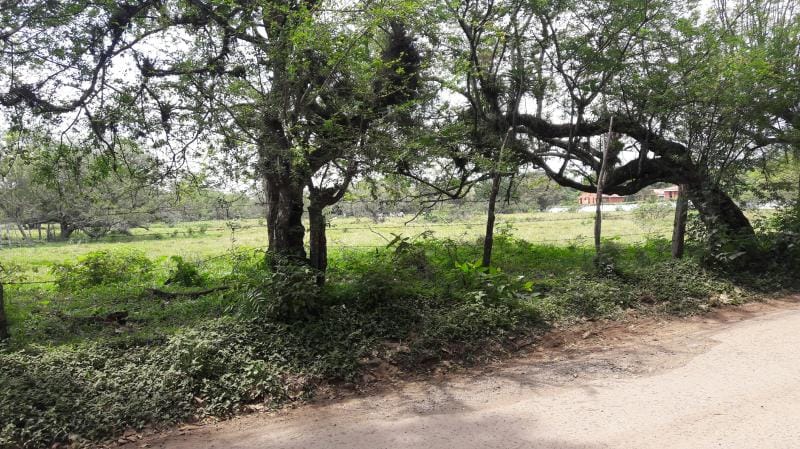 Lote en venta en Cañasgordas, Cali, 10000 m² · foto 11 de 16