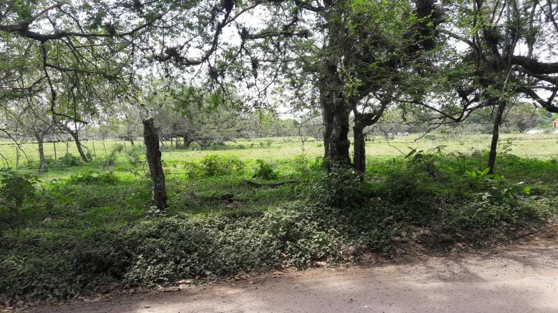 Lote en venta en Cañasgordas, Cali, 10000 m² · foto 12 de 16